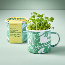 Load image into Gallery viewer, Altered Herbs Mug Grow Kit