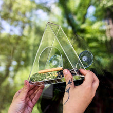 Load image into Gallery viewer, Birds on the Block - Bird Feeders