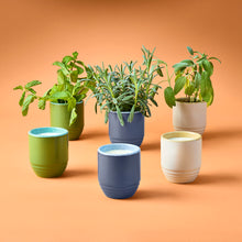 Load image into Gallery viewer, Garden Vibes Candle/Planter 2-in-1