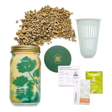 Load image into Gallery viewer, Garden Jars