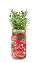 Load image into Gallery viewer, Garden Jars - Holiday