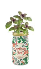 Load image into Gallery viewer, Garden Jars - Holiday