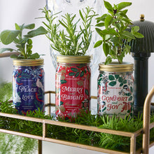 Load image into Gallery viewer, Garden Jars - Holiday