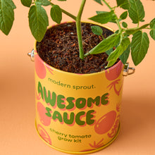 Load image into Gallery viewer, Complimentary Colors Grow Kits