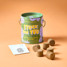 Load image into Gallery viewer, Complimentary Colors Grow Kits