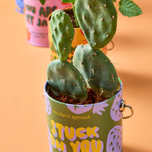 Load image into Gallery viewer, Complimentary Colors Grow Kits