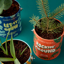 Load image into Gallery viewer, Holiday Complimentary Colors Grow Kits