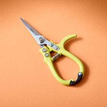 Load image into Gallery viewer, Garden Shears and Pruners
