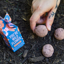 Load image into Gallery viewer, Seed Bombs - Assorted 3pk