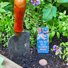 Load image into Gallery viewer, Seed Bombs - Assorted 3pk