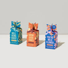 Load image into Gallery viewer, Seed Bombs - Assorted 3pk