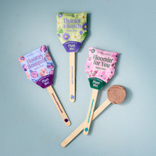 Load image into Gallery viewer, Seed Lollipop - Flower 3pk