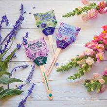 Load image into Gallery viewer, Seed Lollipop - Flower 3pk