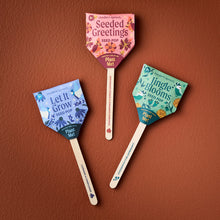 Load image into Gallery viewer, Seed Lollipop - Holly Jolly 3 pk