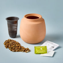 Load image into Gallery viewer, Modern Terracotta Grow Kits