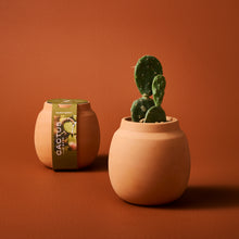 Load image into Gallery viewer, Modern Terracotta Grow Kits