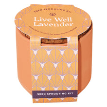 Load image into Gallery viewer, Tiny Terracotta Grow Kits