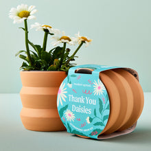 Load image into Gallery viewer, NEW Tiny Terracotta Grow Kits