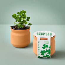 Load image into Gallery viewer, NEW Tiny Terracotta Sentiment Grow Kits