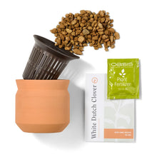 Load image into Gallery viewer, NEW Tiny Terracotta Sentiment Grow Kits