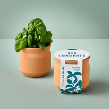 Load image into Gallery viewer, NEW Tiny Terracotta Sentiment Grow Kits