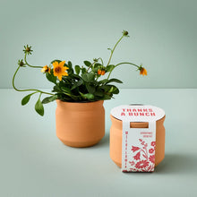 Load image into Gallery viewer, NEW Tiny Terracotta Sentiment Grow Kits