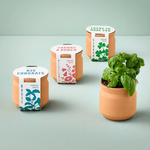 Load image into Gallery viewer, NEW Tiny Terracotta Sentiment Grow Kits