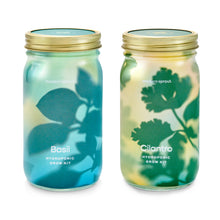 Load image into Gallery viewer, Garden Jars