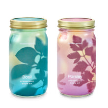 Load image into Gallery viewer, Garden Jars
