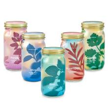 Load image into Gallery viewer, Garden Jars