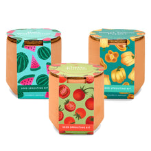 Load image into Gallery viewer, Tiny Terracotta Grow Kits