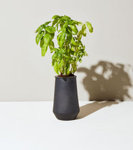 Load image into Gallery viewer, Tapered Tumbler Grow Kits