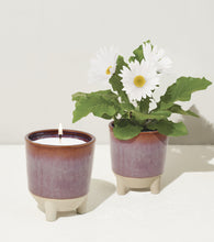 Load image into Gallery viewer, Glow and Grow Kits