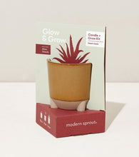 Load image into Gallery viewer, Glow and Grow Kits