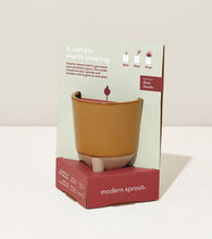 Load image into Gallery viewer, Glow and Grow Kits