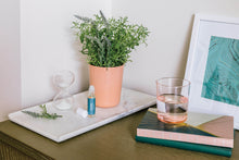 Load image into Gallery viewer, Seek Peace - Mindful Meditation Kit