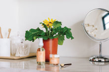 Load image into Gallery viewer, Shine Bright - Radiant Positivity Kit