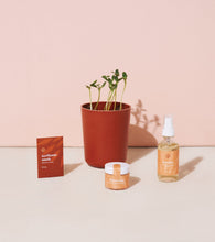 Load image into Gallery viewer, Shine Bright - Radiant Positivity Kit