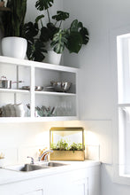 Load image into Gallery viewer, Smart Growhouse