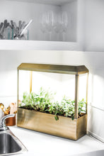 Load image into Gallery viewer, Smart Growhouse