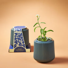 Load image into Gallery viewer, Flower Grow Kits