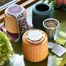 Load image into Gallery viewer, Flower Grow Kits