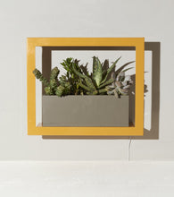 Load image into Gallery viewer, Smart Standard Growframe