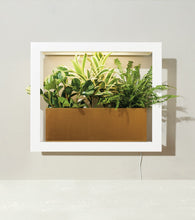 Load image into Gallery viewer, Smart Standard Growframe