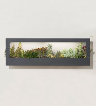 Load image into Gallery viewer, Smart Landscape Growframe