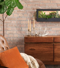 Load image into Gallery viewer, Smart Landscape Growframe