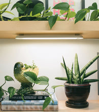 Load image into Gallery viewer, Smart Growbar