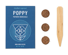 Load image into Gallery viewer, Cosmic Seed Kits