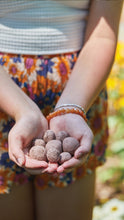 Load image into Gallery viewer, Bright Side Seed Balls