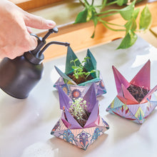 Load image into Gallery viewer, Cosmic Seed Kits